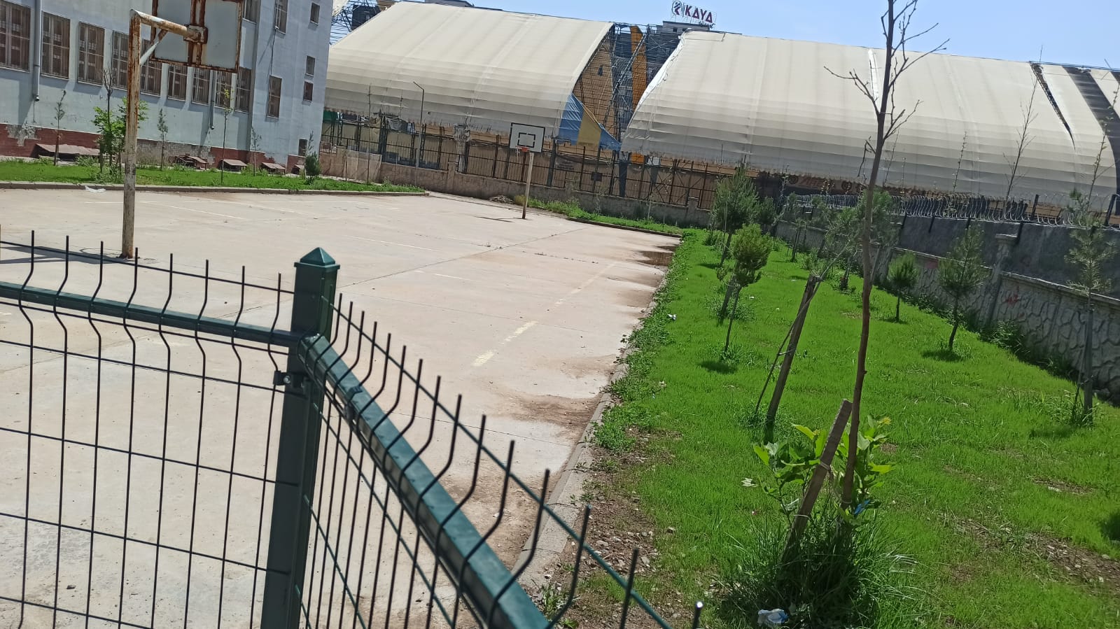 Proje